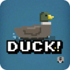 Duck! Duck! Duck!