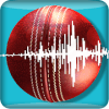 Snickometer : Cricket Prediction Tool