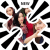 KPOP BLACKPINK Jigsaw Puzzles