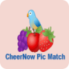 Cheernow Pictures Match
