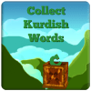 Collect Kurdish Words