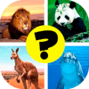 Animals: quiz. Mammals, Birds and Fish