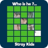 Guess STRAY KIDS Member