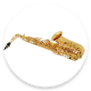 Saxophone Digital Pro