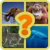 Endangered Species Guess Game