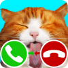 fake call cat 2 game