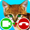 fake call video cat game