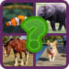 Guess Animal Names Kostenlos