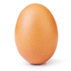 World Record Egg