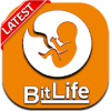 New BitLife : Life Simulator Game Guia for Android