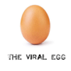 The viral egg