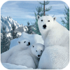 Polar Bear Family Survival