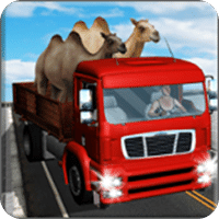 动物运输卡车