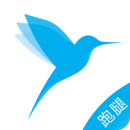蜂鳥跑腿