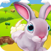 BUNNY RUN SURVIVAL