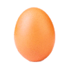 The Egg VS Kylie