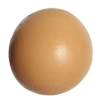 Record Egg