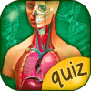 The Human Anatomy Quiz App On Human Body Organs