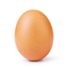 Like the Egg