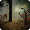Animals Deer Hunter 2019