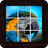 Birds Puzzles - 101 pictures