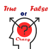 Crazy true false game