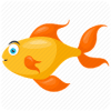 CatchFish Expert