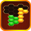 Hexa Puzzle mania