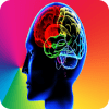 Follow Brain Memory Simon Puzzle