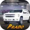 Prado Parking Pick and Drop 2019
