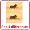 images differences game