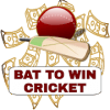 Bat To Win Cricket 2019