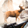 Deer Hunt 2019  Animal Hunting Games