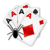 Cards Solitaire  Spider Solitaire