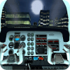Real Pilot Flight Simulation