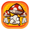 My Mushroom