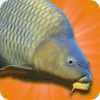 Carp Fishing Simulator (DEMO Version)