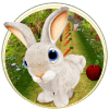 Forest Bunny Run :Bunny Game