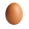 The world record egg