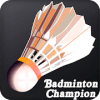 Real Badminton 3D