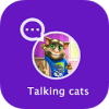 Talking Cats Pet all in one