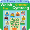 Grammar Fun Welsh Cymraeg