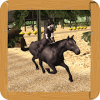 Crazy Horse Riding  Game