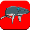 Dolphin Show Games For