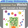 Grammar Fun Welsh with Cornish & Breton dictionary