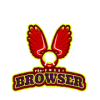 Pro Smart Browser