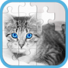 Cat Jigsaw Puzzle Games