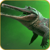 Crocodile Hunting Simulator  Wild Animal Attack