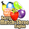 Berry Match