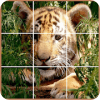 Classic Puzzle Jigsaw  Animals